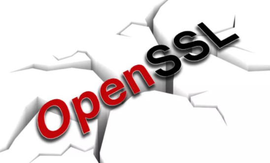 OpenSSL�����徲���������������޸���Ʒ�е�2���徲���.png