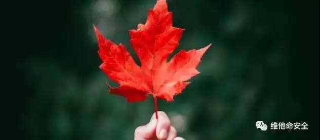 ��ʱK66��(�й���)�ٷ���վ